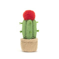 Bild in Galerie-Betrachter laden, Jellycat Amuseable Moon Cactus