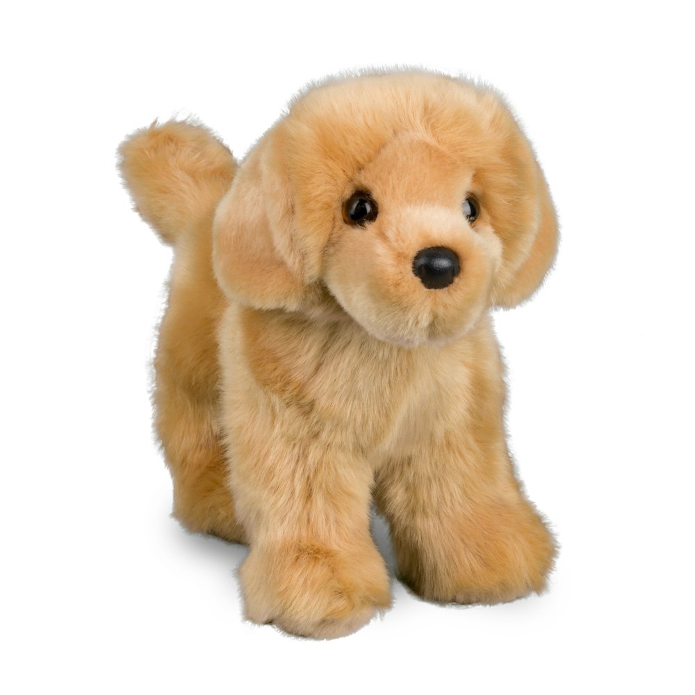 Douglas Chap Golden Retriever