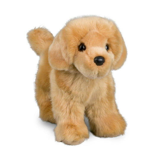 Douglas Chap Golden Retriever
