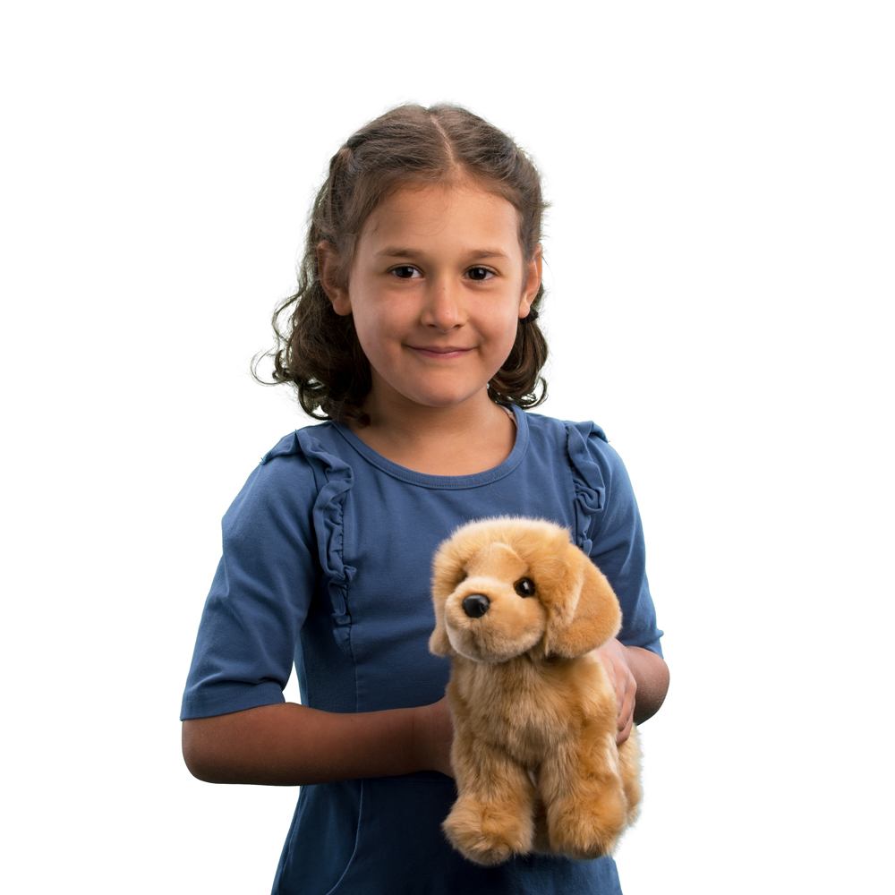 Douglas Chap Golden Retriever