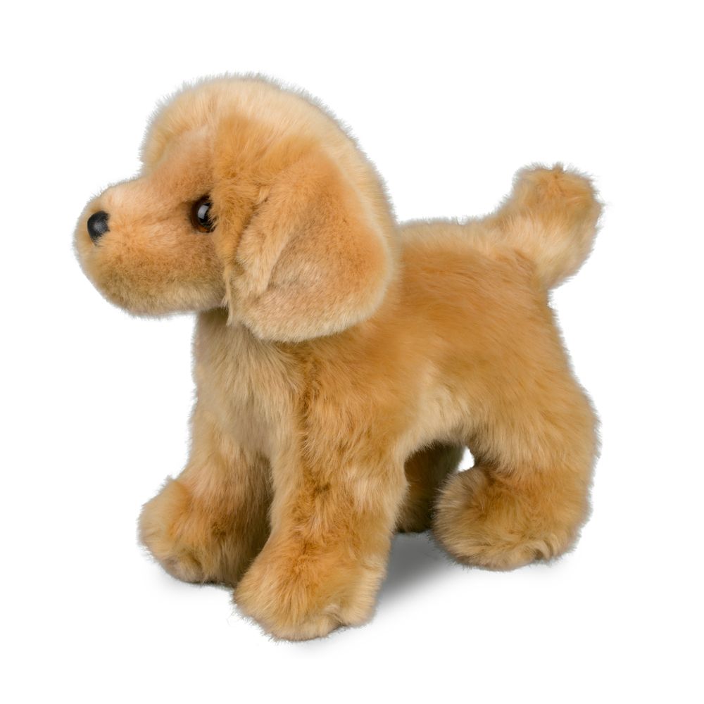 Douglas Chap Golden Retriever