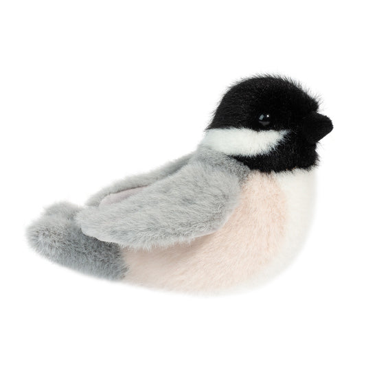 Douglas Chipper Chickadee Bird
